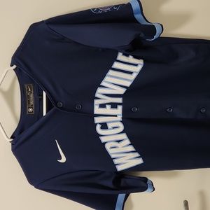 Nike Chicago Cubs MLB City Connect Wrigleyville jersey. Men's Size Small.